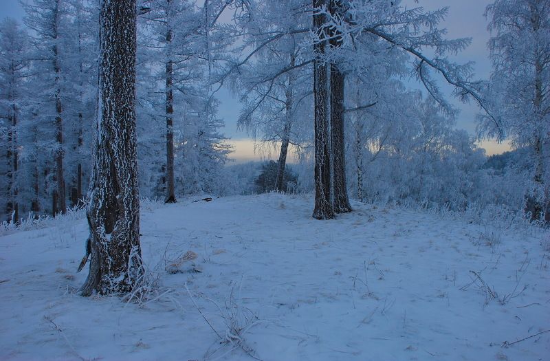 Стужа... фото превью