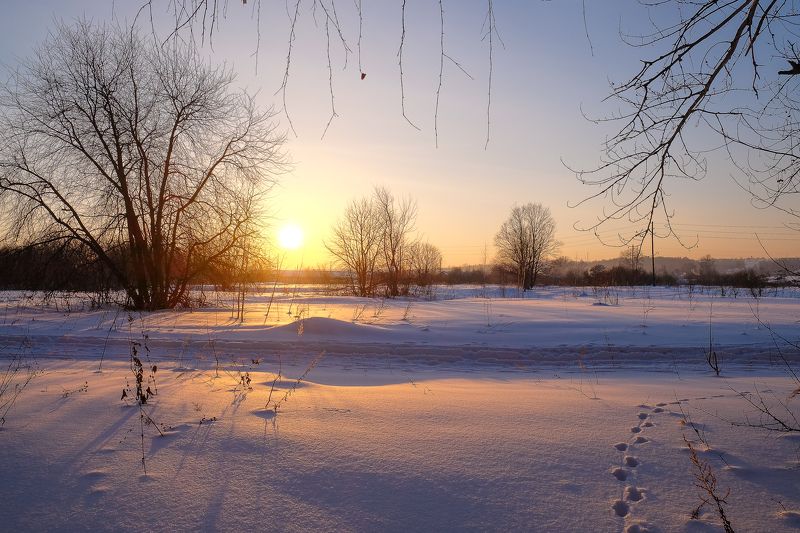 зима закат зимний. закат. природа. фото превью