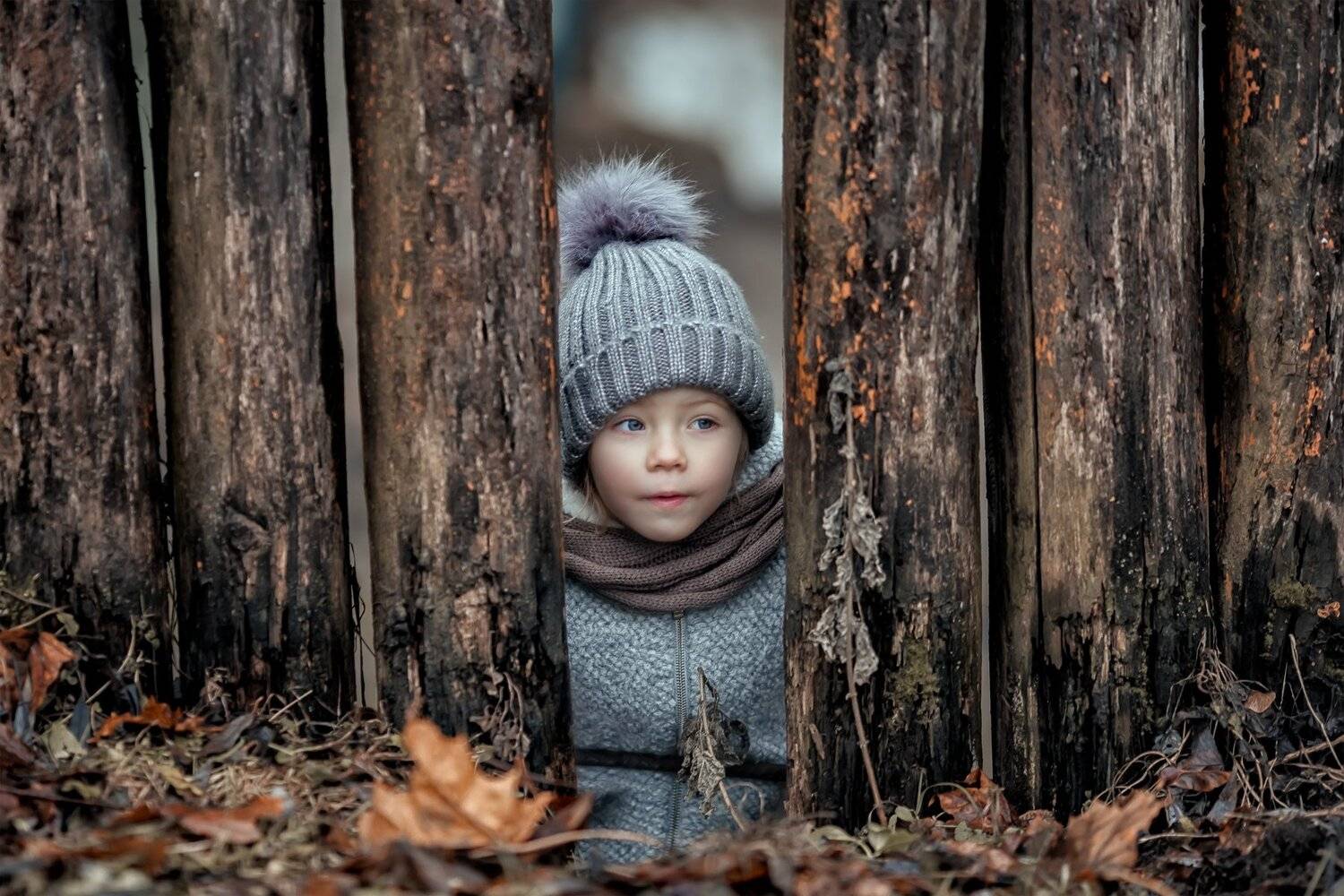 , Катерина Киреева