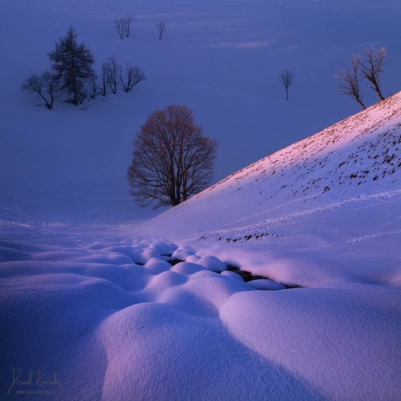 Czech republic, North Bohemia, Bohemia, Czech, Tschechische republik, Česká republika,  Ore mountains, Krušné hory, Erzgebirge, Europe, daniel rericha, trees, winter, frozen,  winter colors, snow, frost, evening, evening light, blue hour, mountains, valle Frosty evening in the mountain valley фото превью