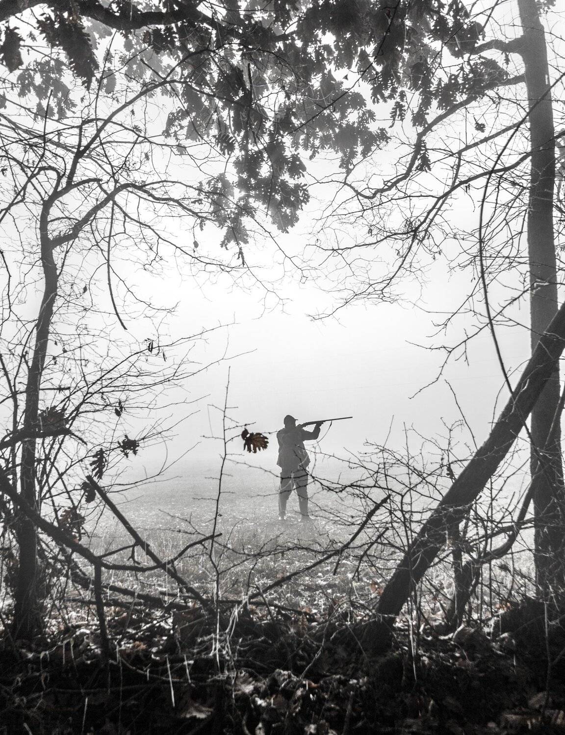 сербия, утро, черно-белый, без цвета, охотник, профиль, оружие, оружие, охота на фазанов, туман, зима, дуб, лес, тень, силуэт, serbia, morning, black and white, no color, hunter, profile, gun, weapon, pheasant hunting, misty, winter, oak, forest, shadow, , Марко Радовановић