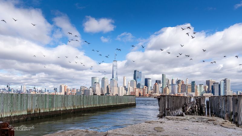 newyork, skyline, birds, cityscape New York skiline фото превью