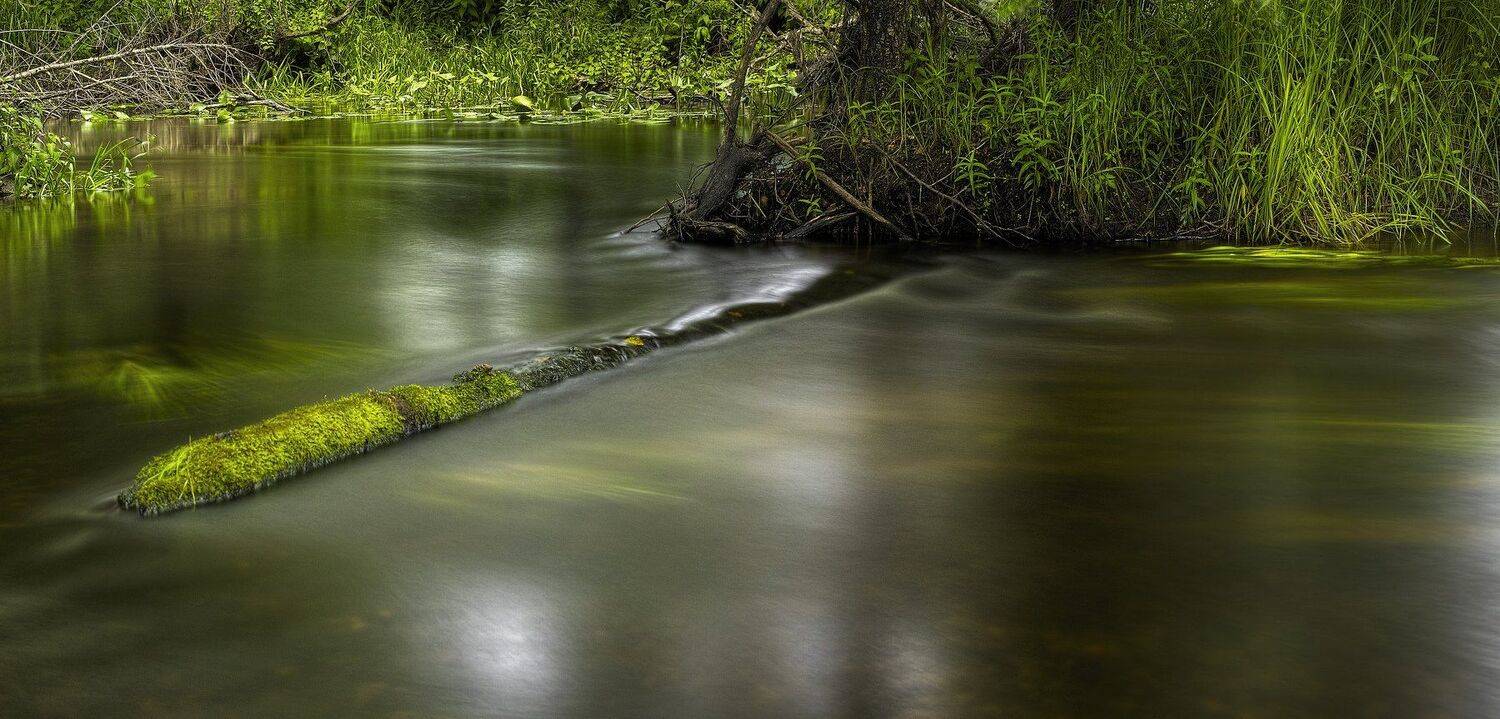 , Бусыгин Борис