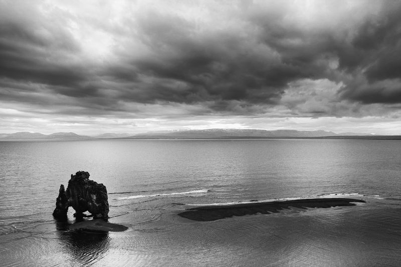 Слон фото превью