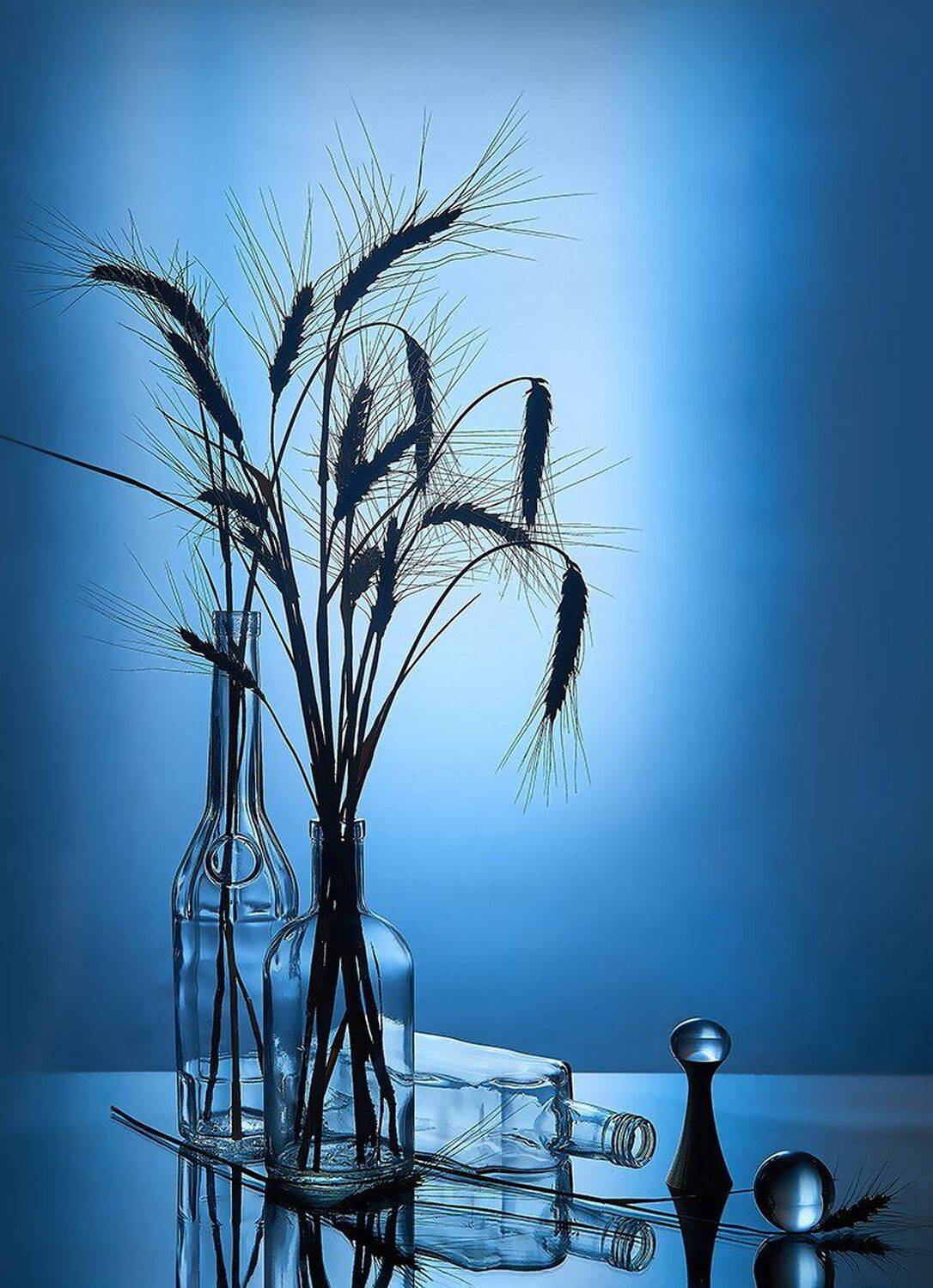 , MVO (Марк Орлов)