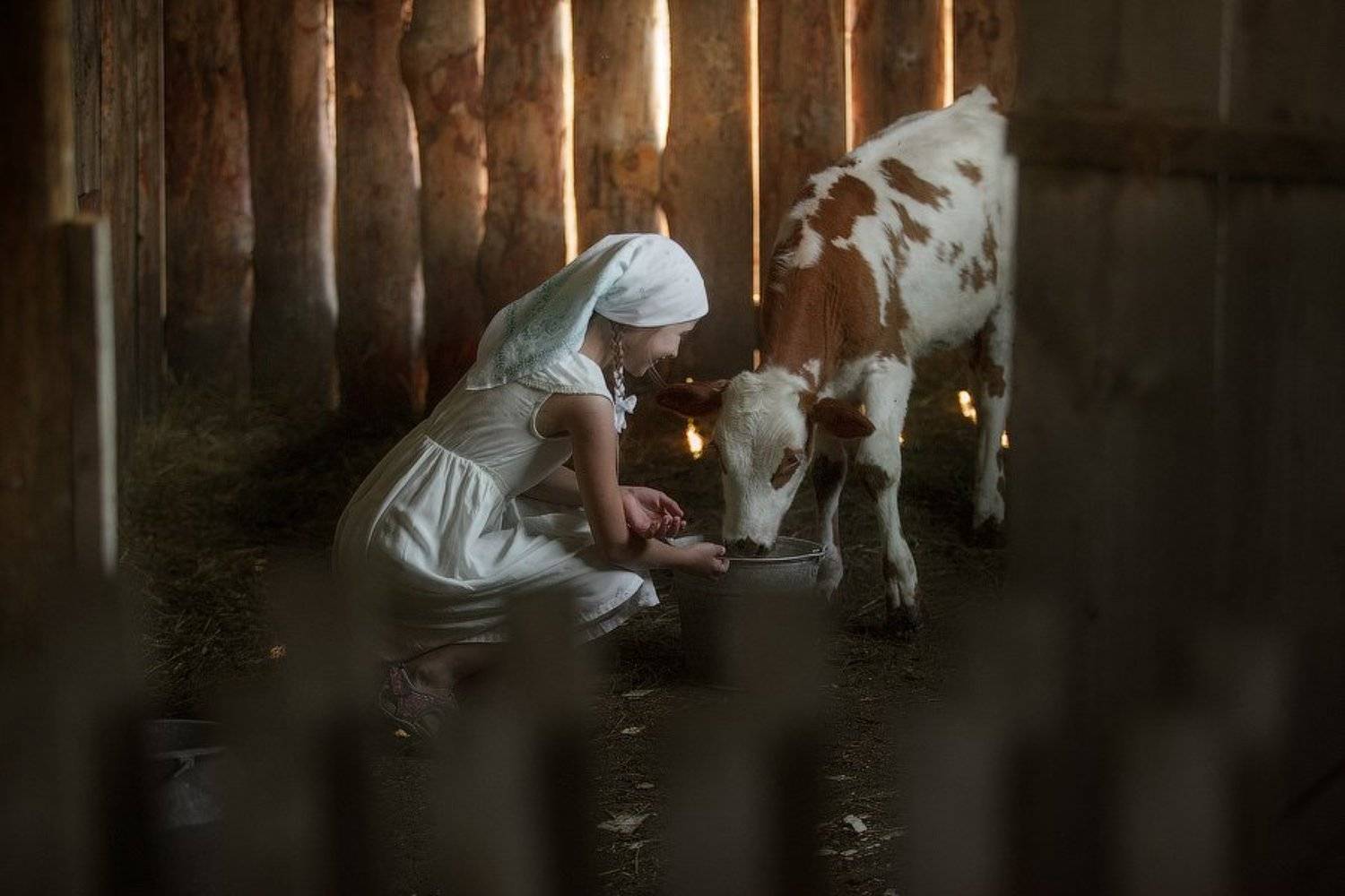 деи, корова,деревня,хозяйство,Алтай,корм,радость,детство,бабушка,село,отдых,путешествие,животные,, Оксана