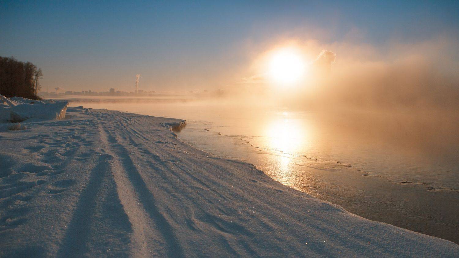 , Николай Алехин