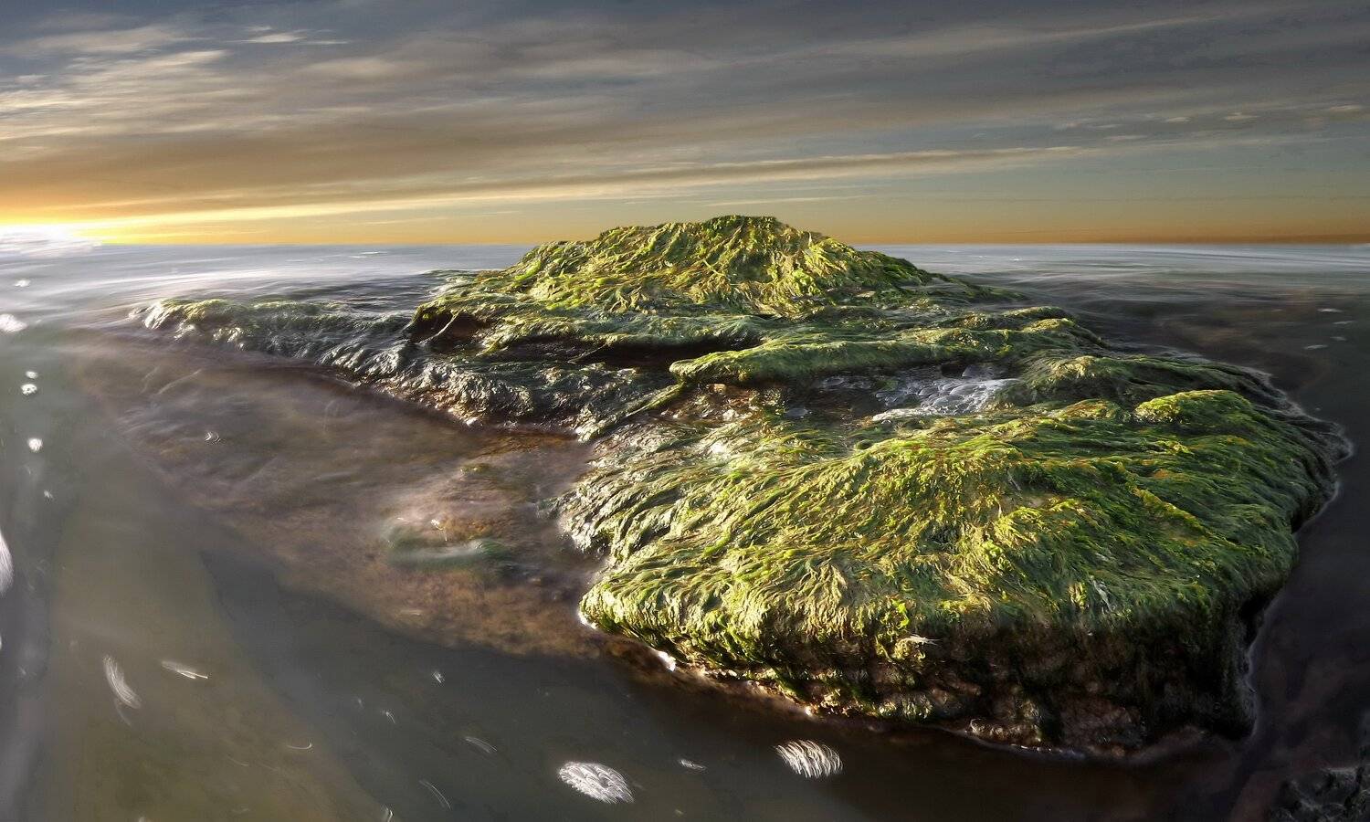 одесса, Сергей Кошелев