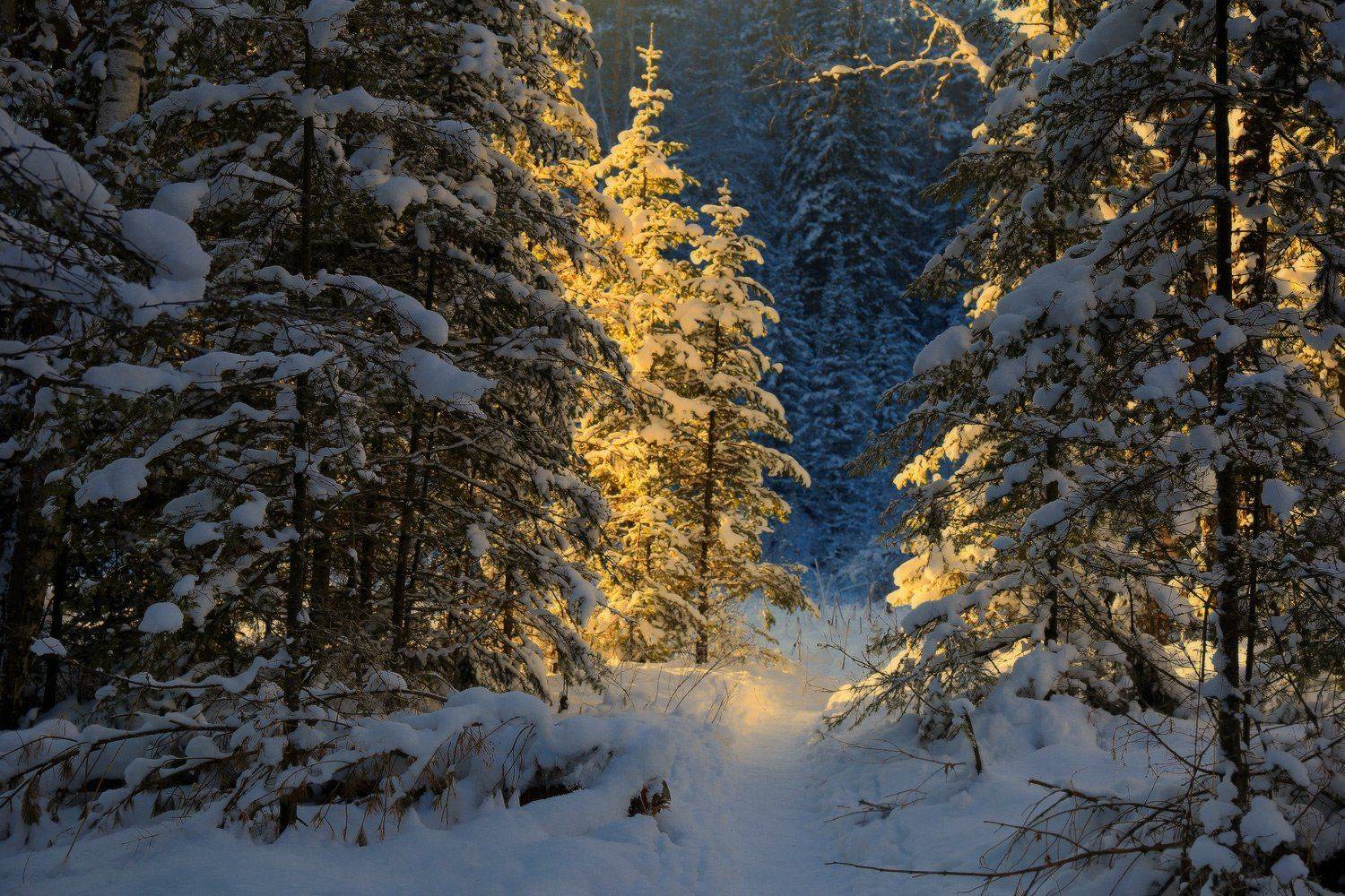 , Галина Хвостенко