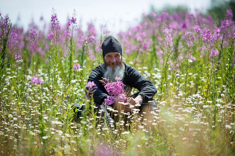 Иван - чай фото превью