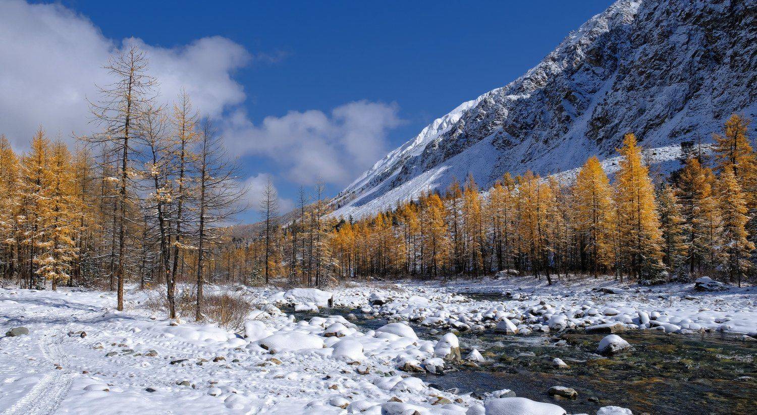 , Ольга Челдыкова