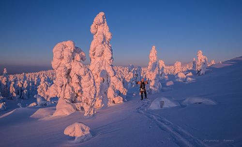 В снежном плену.