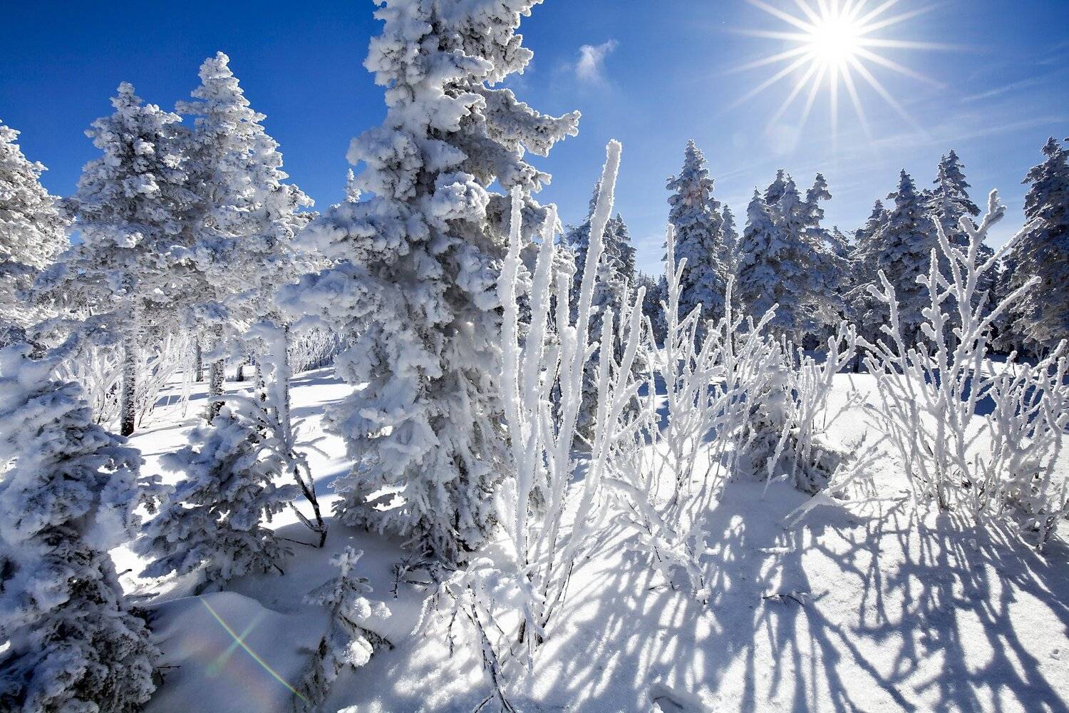 , Сергей Евдокимов