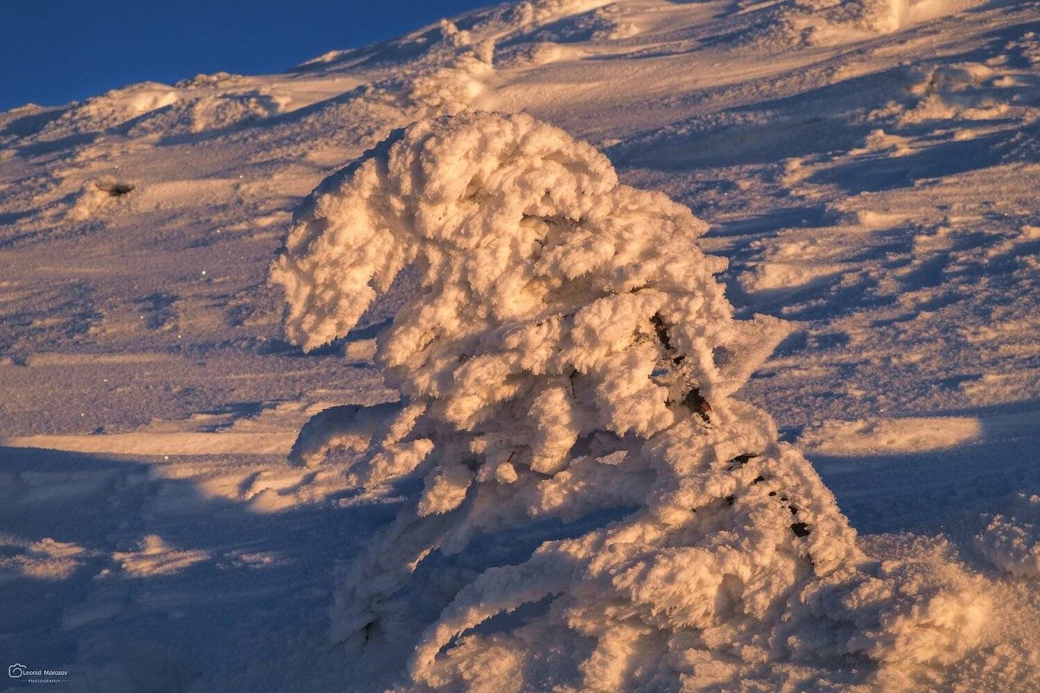 snow., mountain, .glacier.evergreen, .snowfall., ridge, .snowy., slope, .mountain., peak., mountain., range., snowcapped., mt, foraker., Леонид Морозов