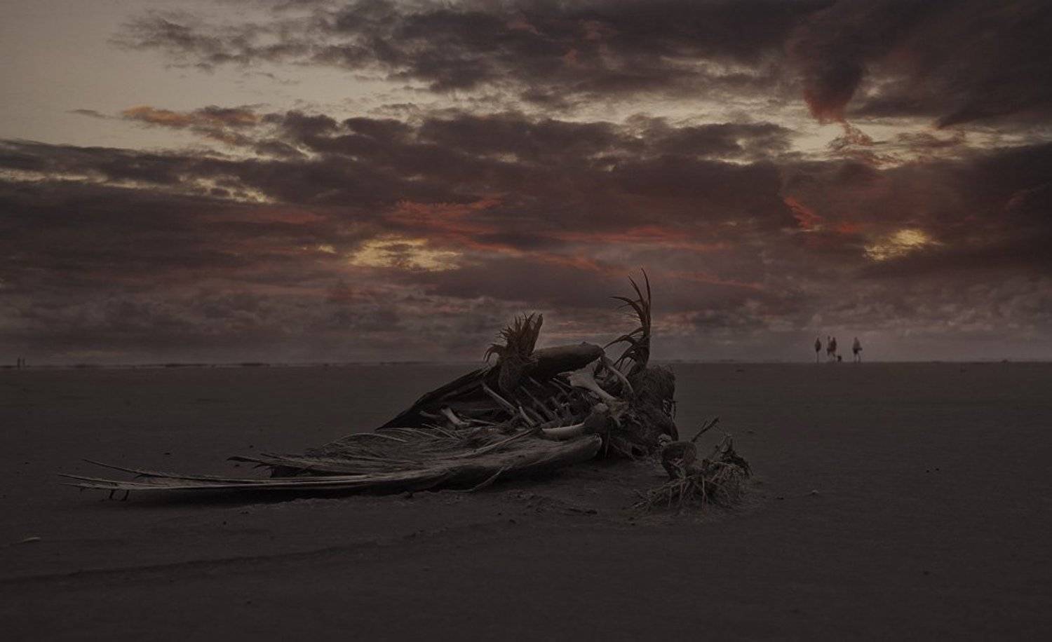 , Виктор Кириллов