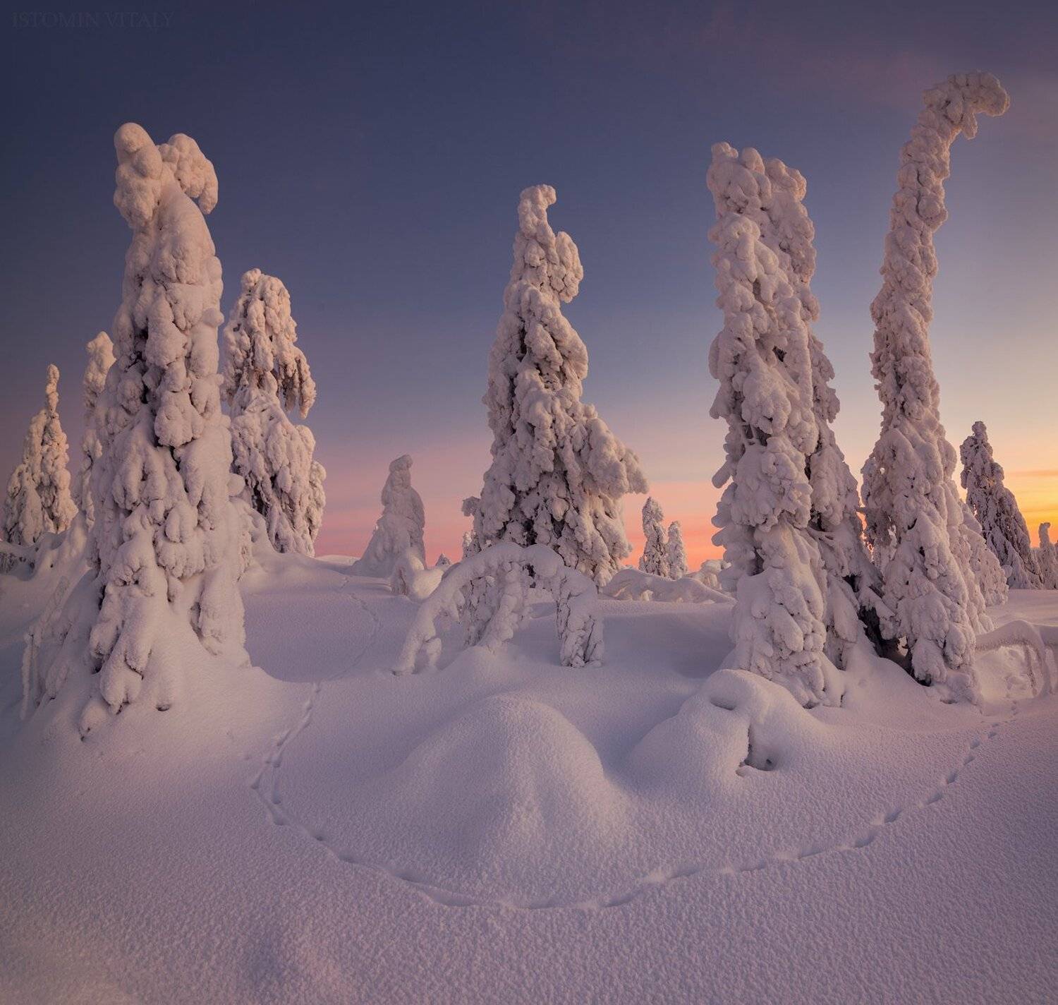 пейзаж,кандалакша,зима,снег,следы,лес,закат,небо,красиво,панорама,колський север, Виталий Истомин