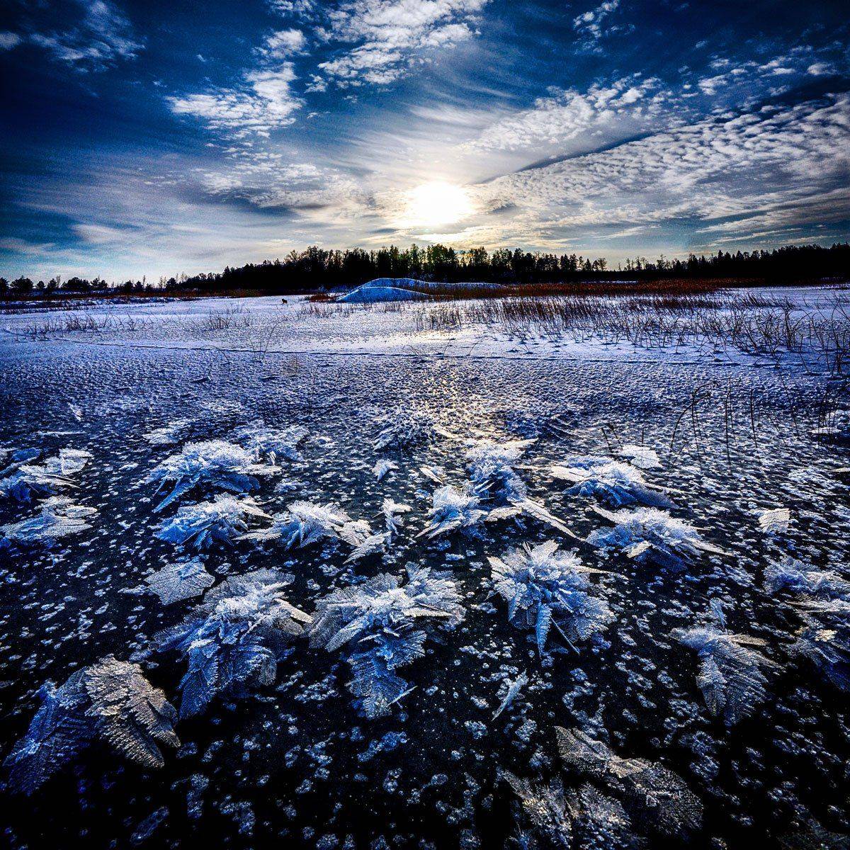 природа, зима, снежинки, Rimantas Petrikas