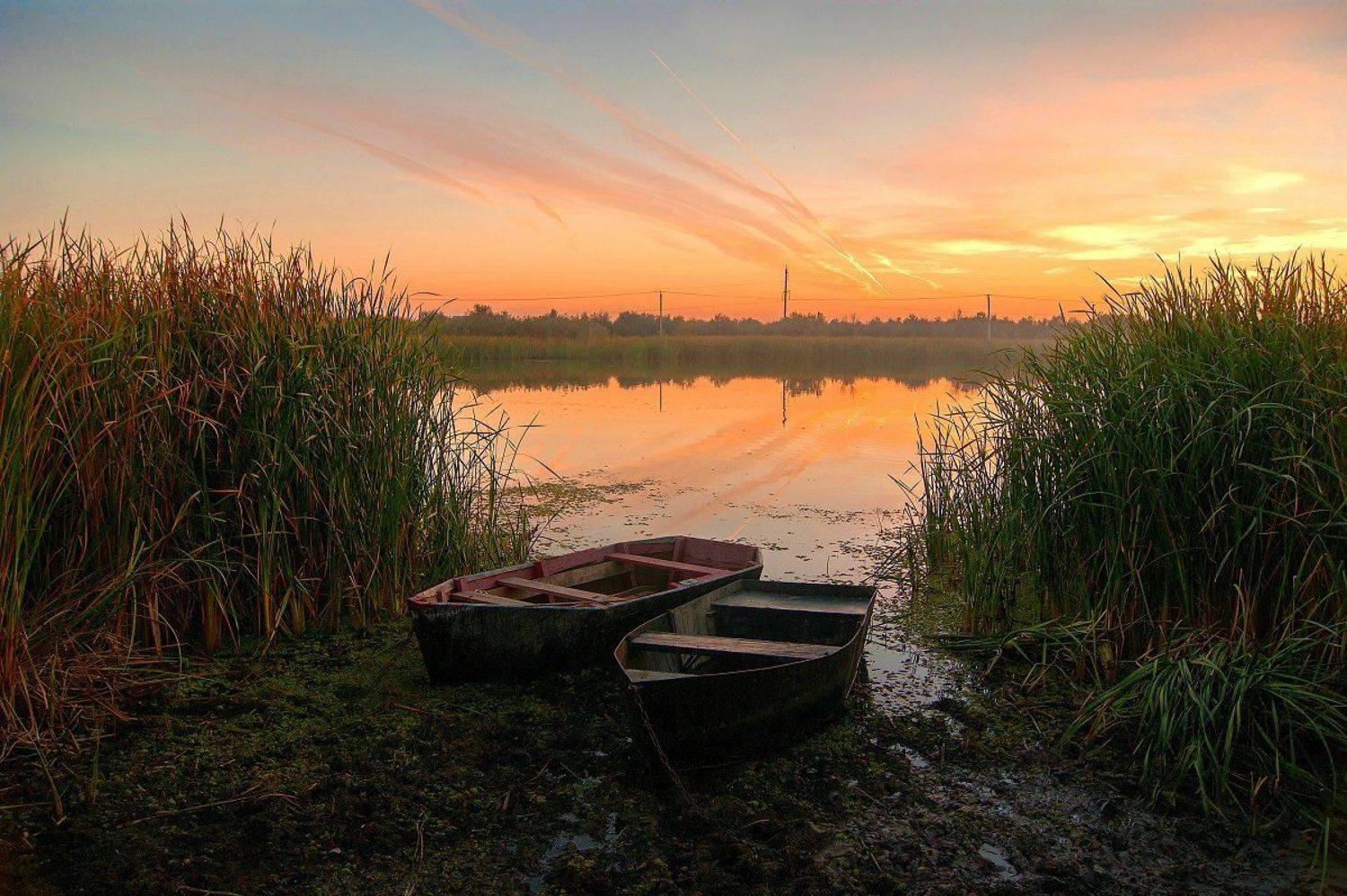 , Марина Соколова