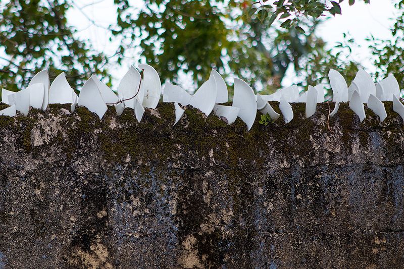 china, asia, 2018, chinese, guangdong, alt, alted, История одной белой тарелки фото превью