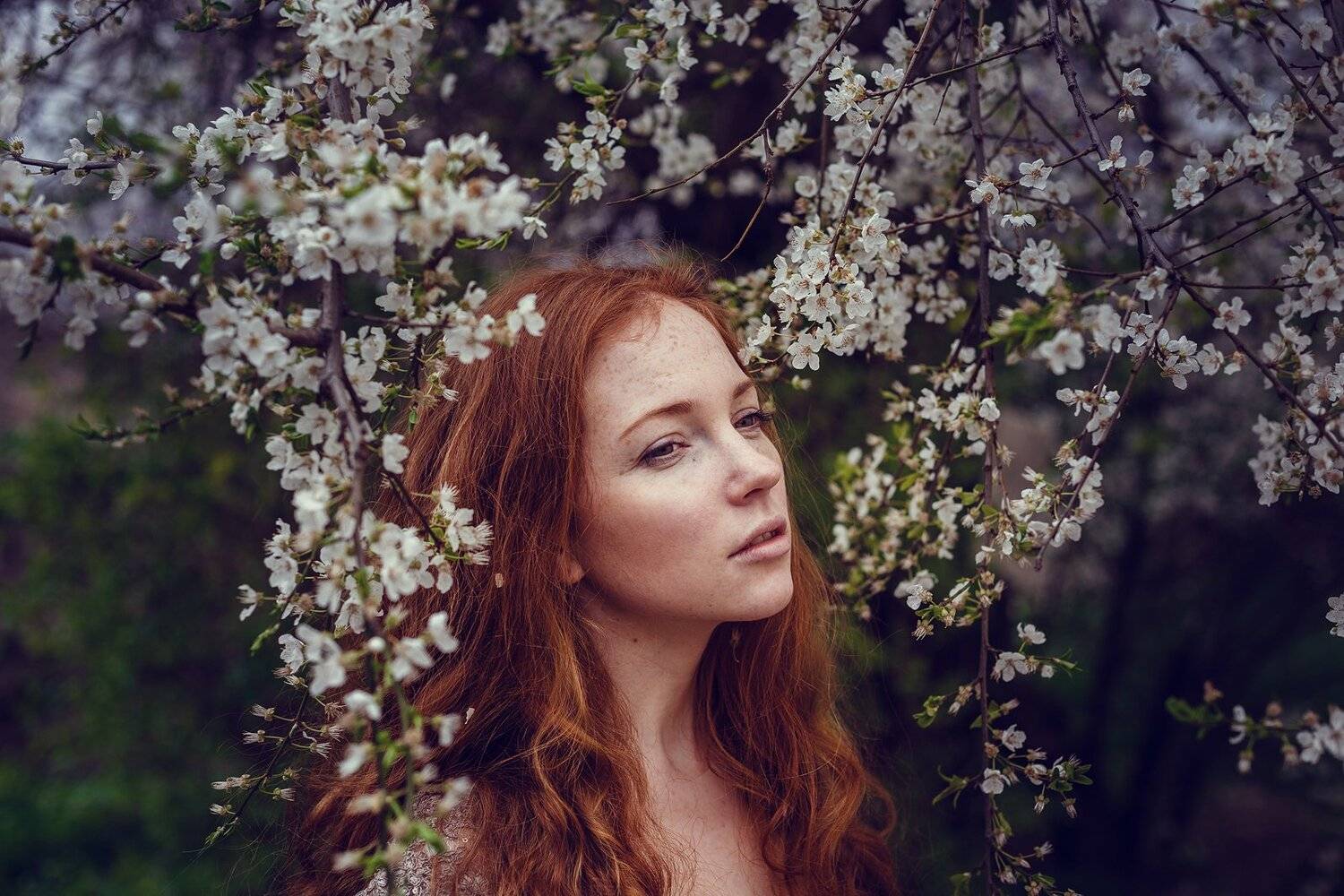 , Елена Молчаглва