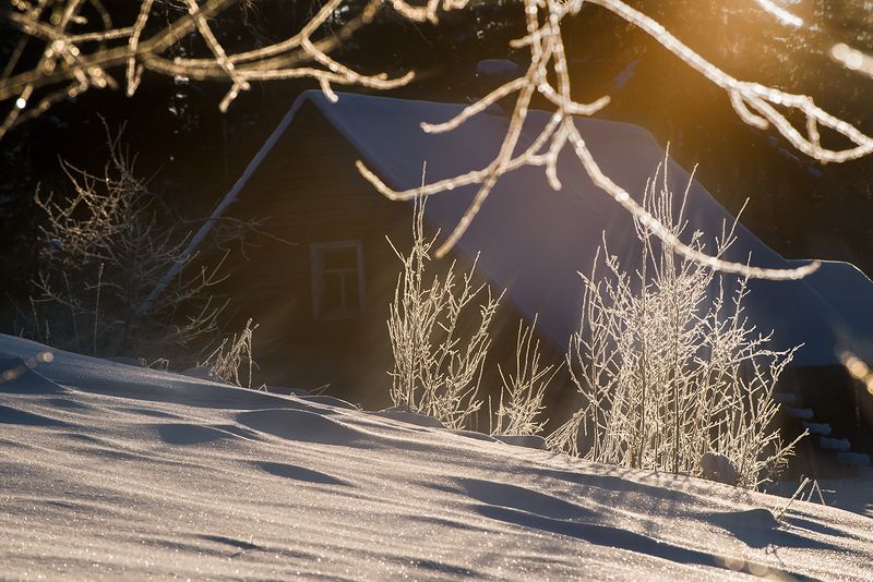 Утреннее мартовское солнце фото превью