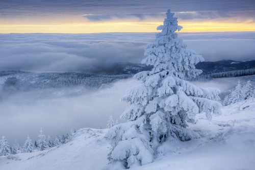 Giant Mountains