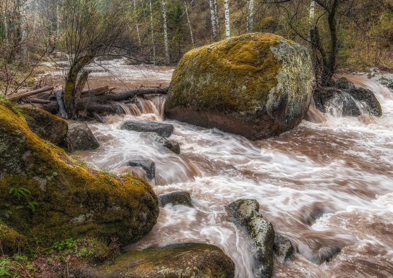 алтай, весна, река Весна фото превью