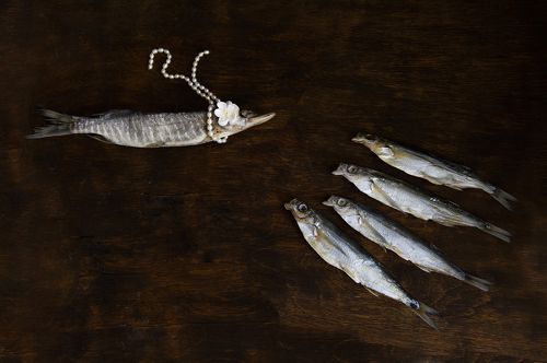 Весенняя щучка