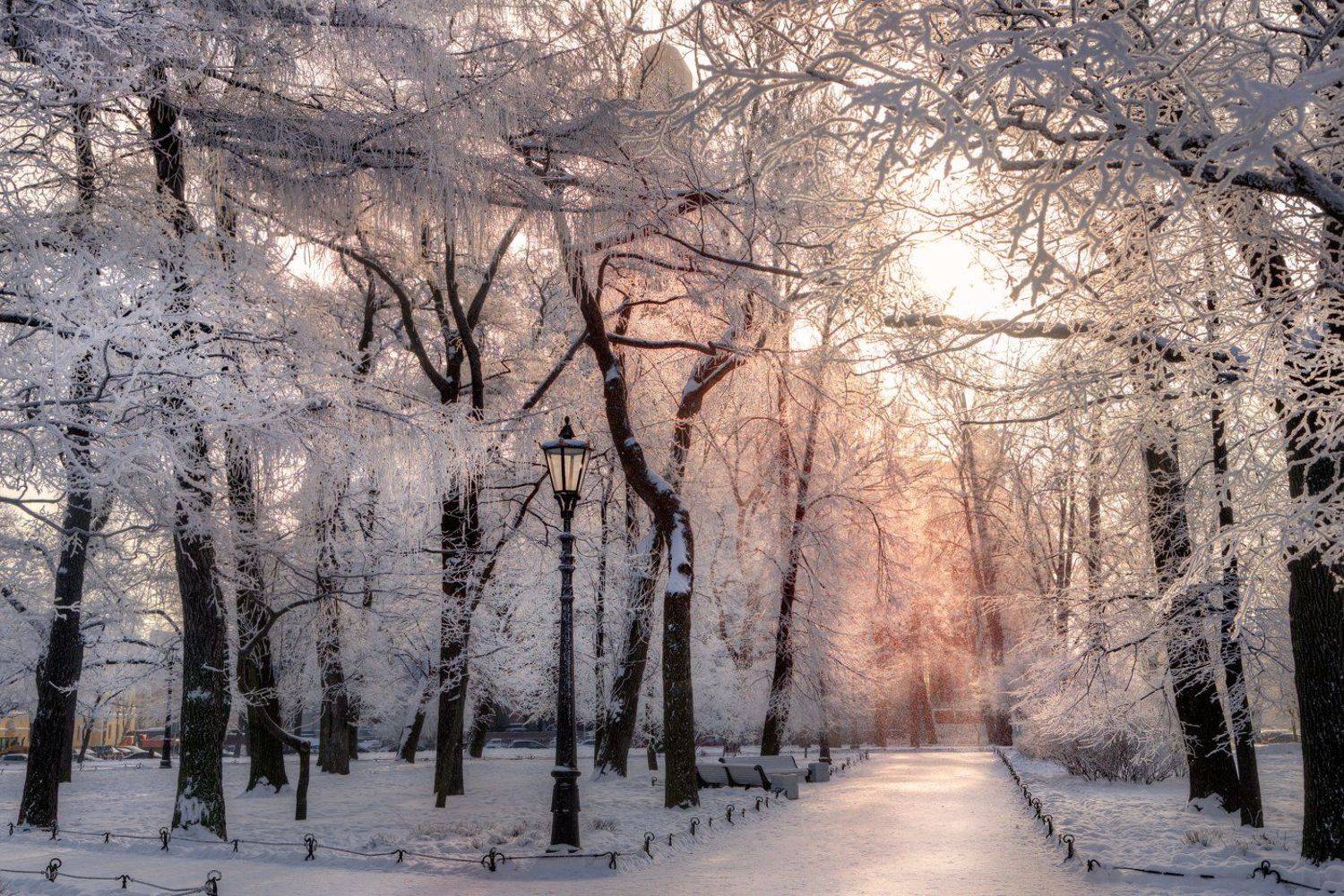 , Александр Атоян