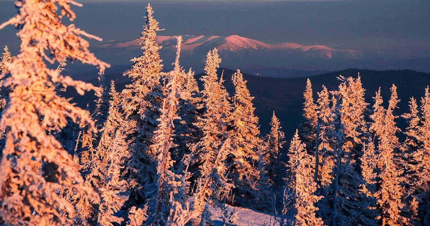 зима, снег, пихты, склоны, розовый вечер, закат, гора, зелёная, шерегеш, горная шория, сибирь, Валерий Пешков