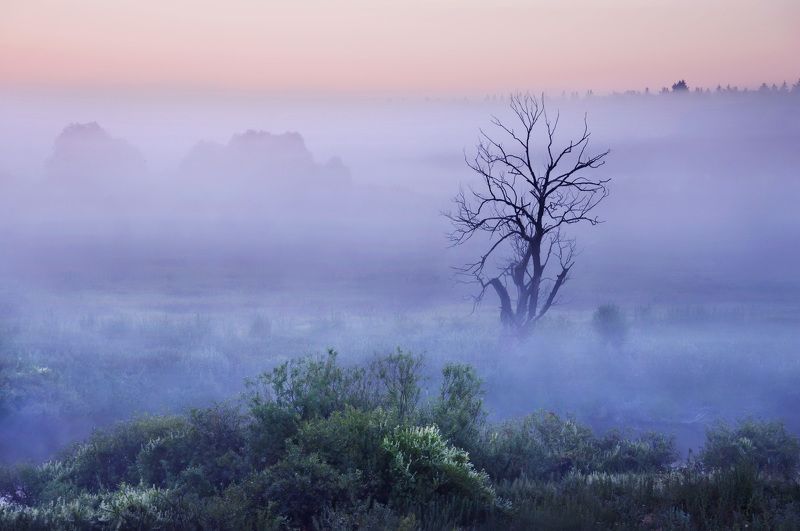 Один, в тишине. фото превью