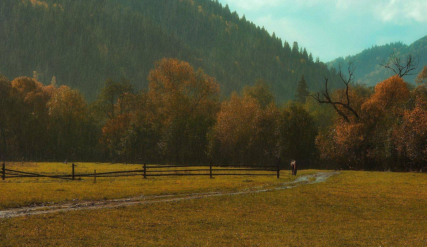 горы, осень, лошадка, дождь, Вьюшкин Игорь