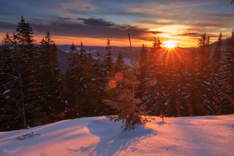 snow., mountain, .glacier.evergreen, .snowfall., ridge, .snowy., slope, .mountain., peak., mountain., range., snowcapped., mt, foraker. *** фото превью