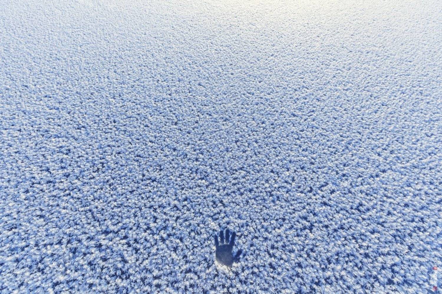 , Денис Демков