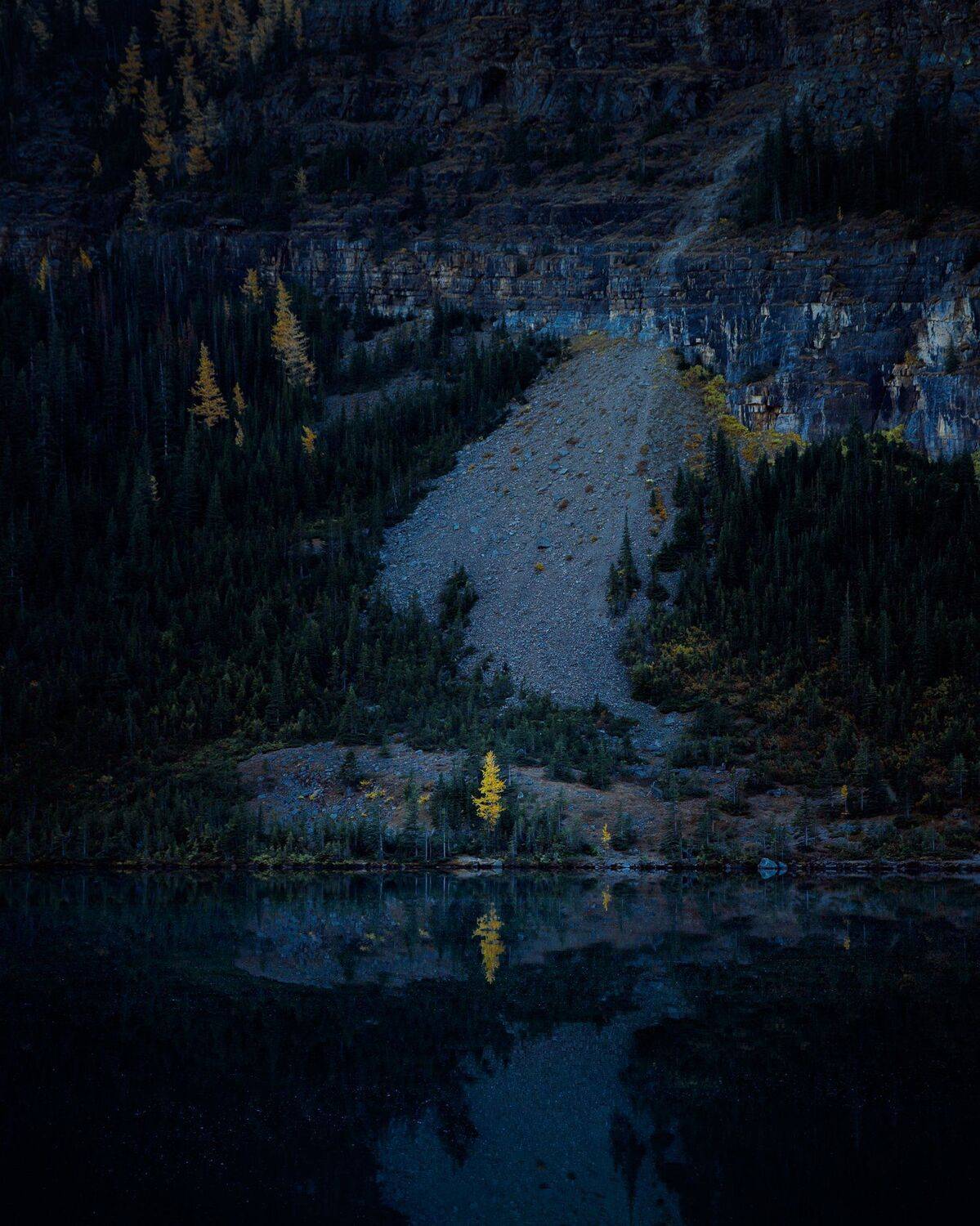 канада, альберта, национальный парк банф, антенна озера, райская долина, лиственница, дерево, осень, лес, природа, желтый, отражение, низкий свет, canada, alberta, banff national park, lake annette, paradise valley, larch, tree, autumn, forest, nature, ye, Марко Радовановић