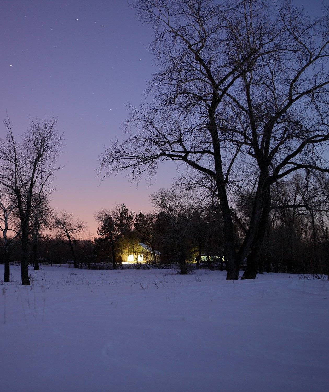 , Николай Алехин