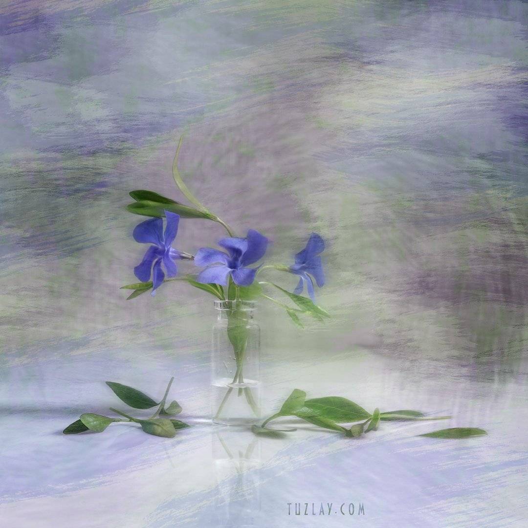 весна во флаконе, пузырек, барвинок, для холста, холст, Владимир Тузлай