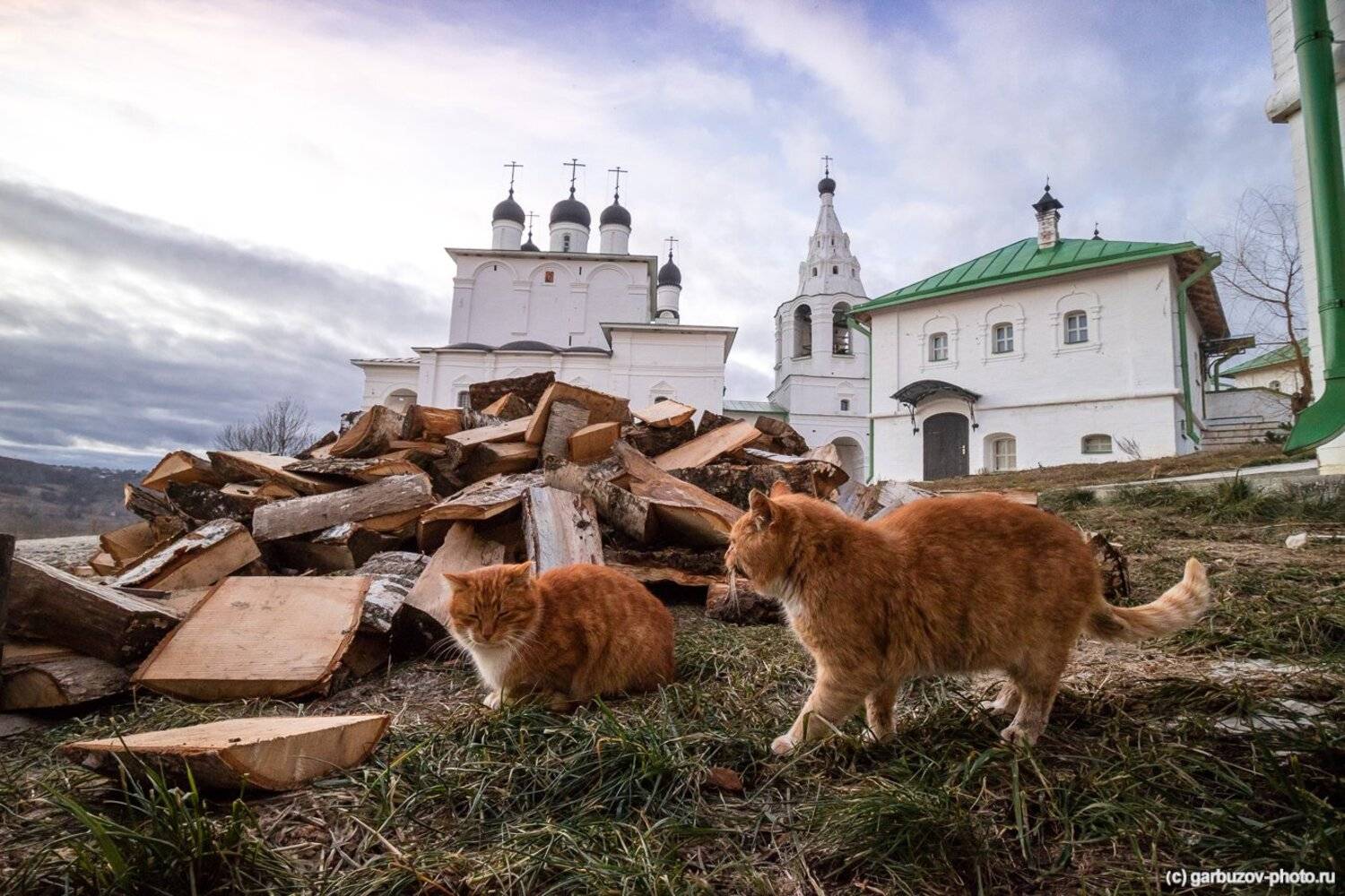 , Гарбузов Илья