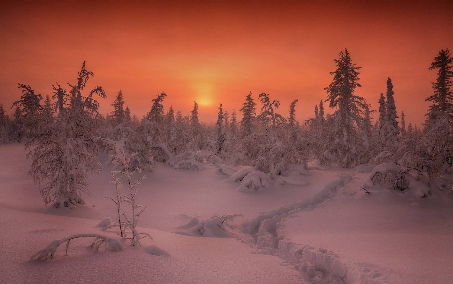 , Евгений Кужилев