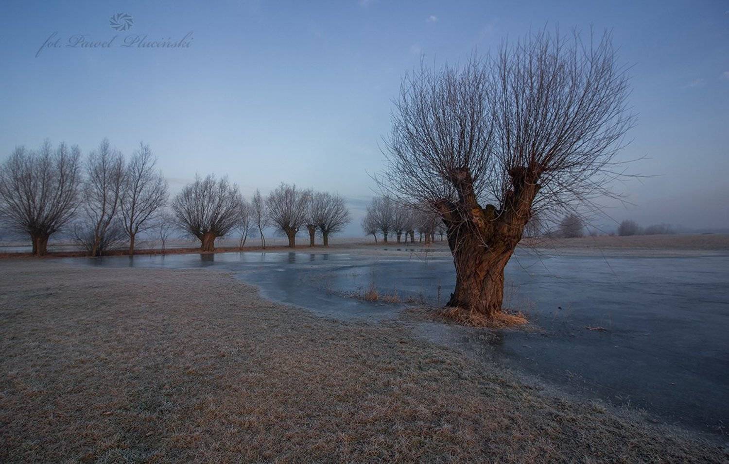 , Pawel Plucinski