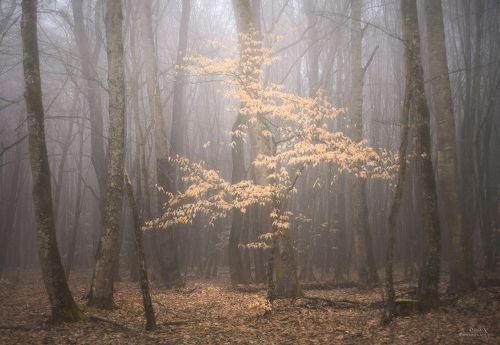Затерянный во времени
