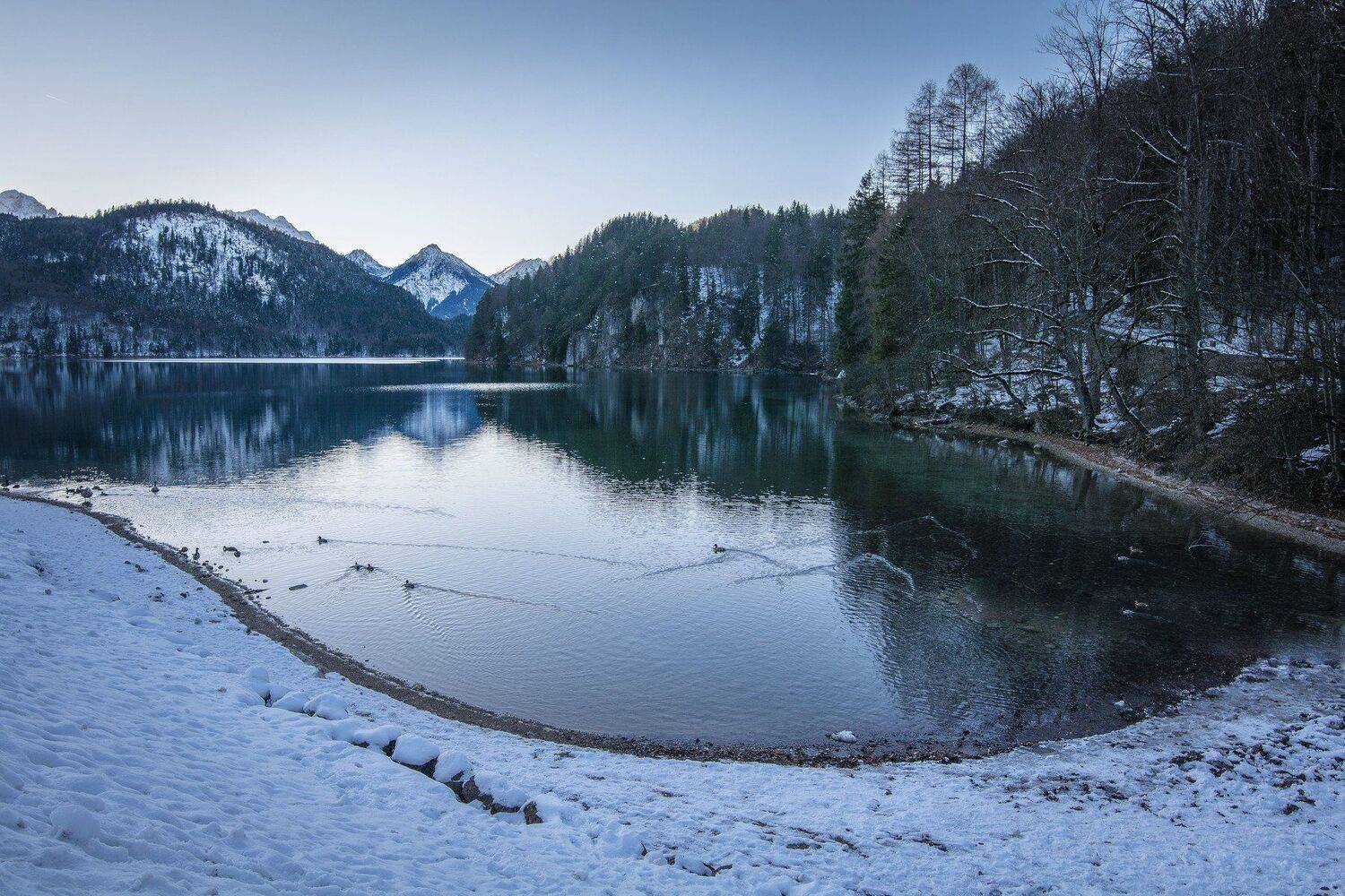 , Юрий Пужалин