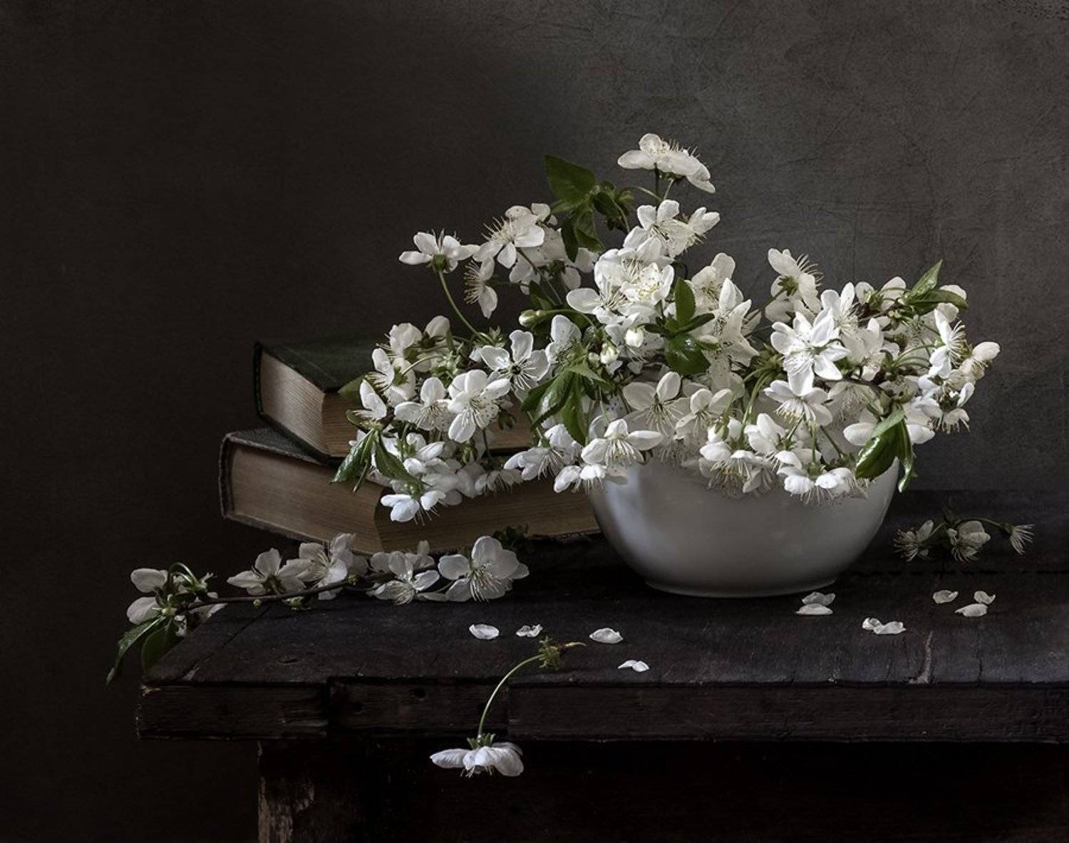 натюрморт, цветы, still life, Оля