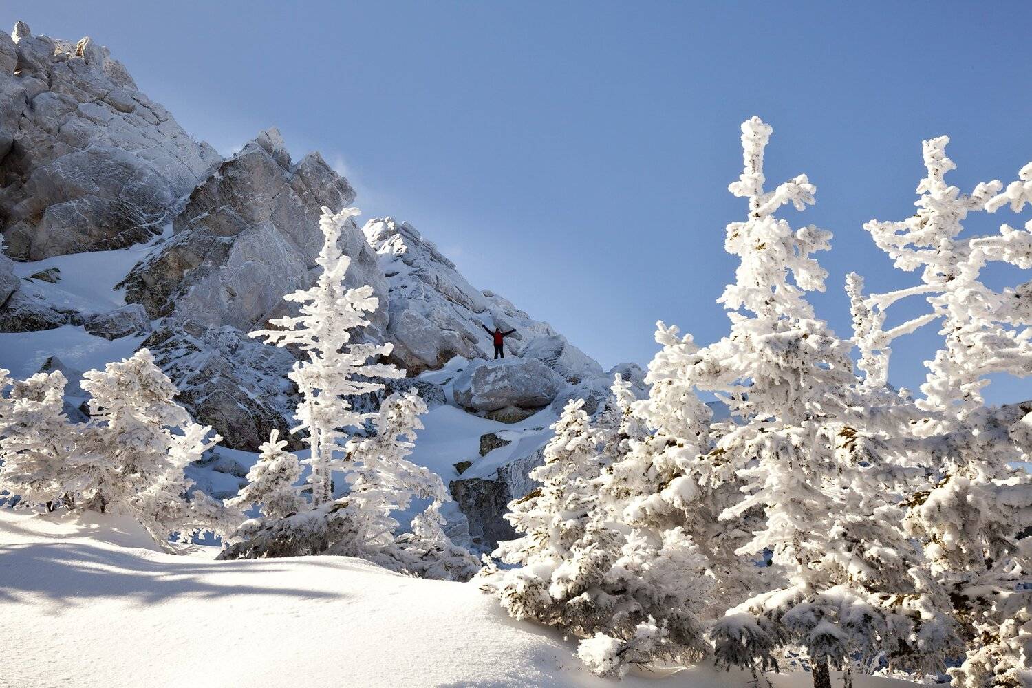 , Сергей Евдокимов
