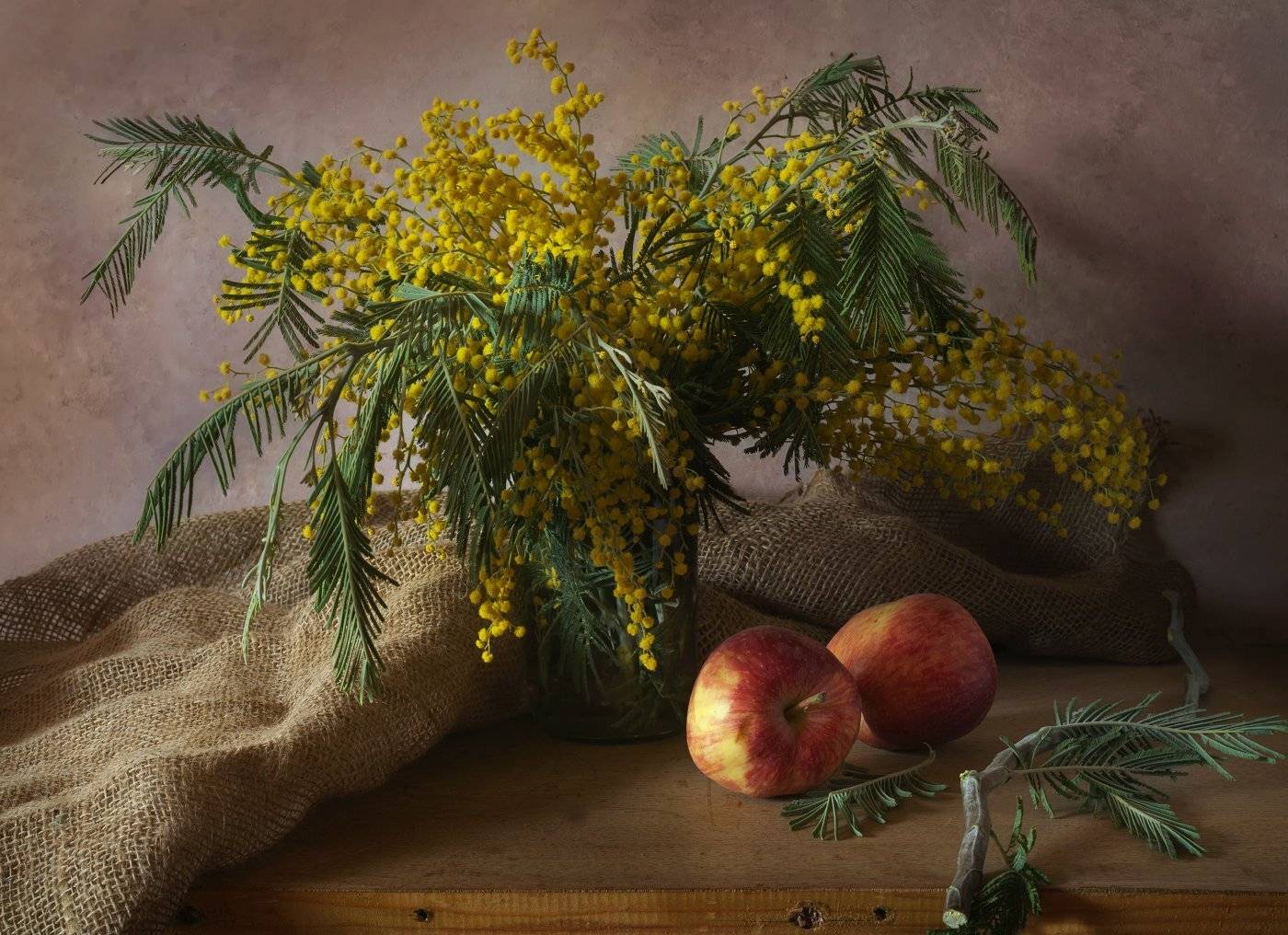 , Елена Брежицкая