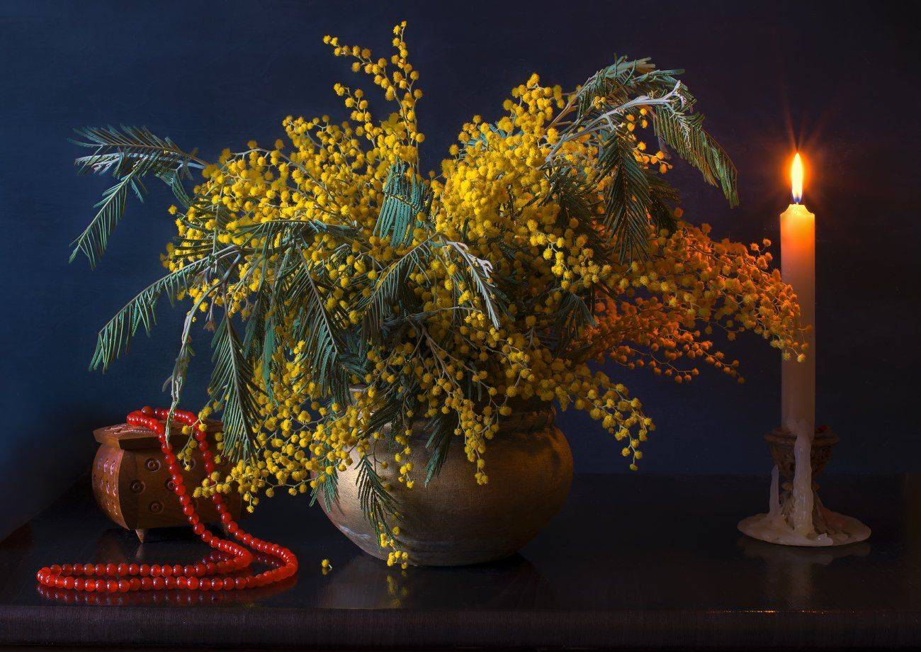 , Елена Брежицкая