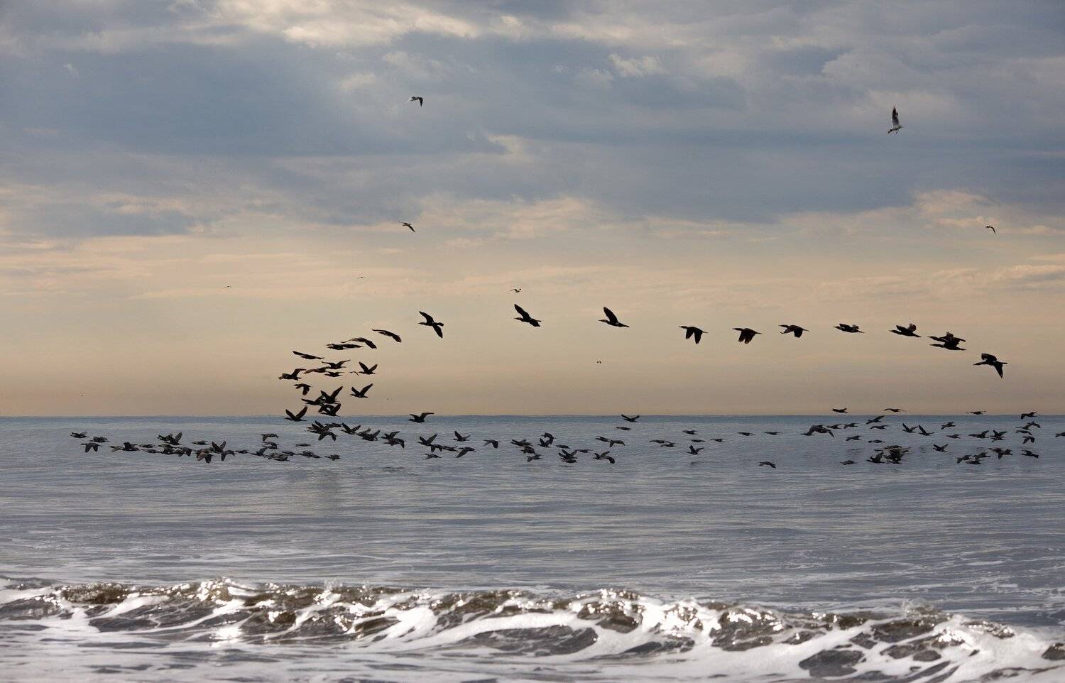 перелетные., Наталья Санникова
