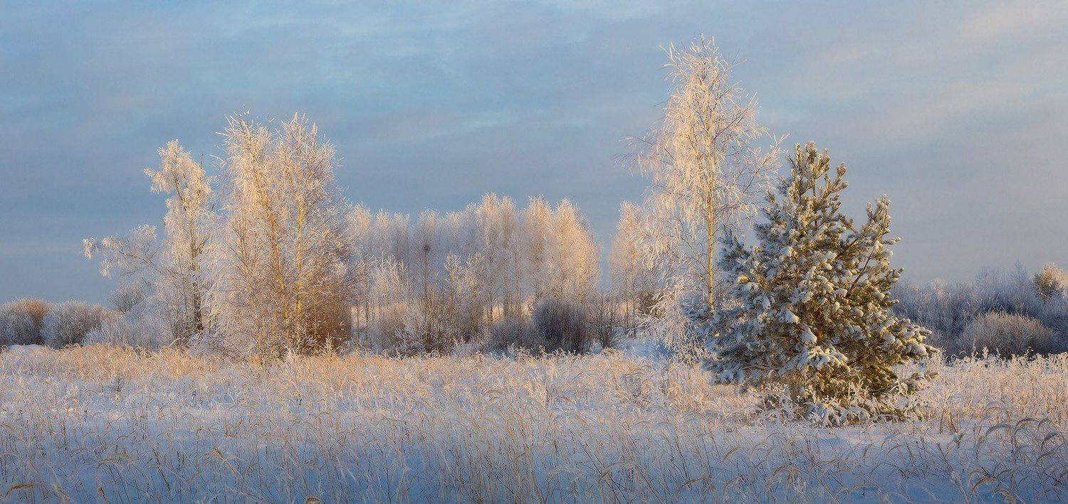 утро мороз солце, Дмитрий Алексеев