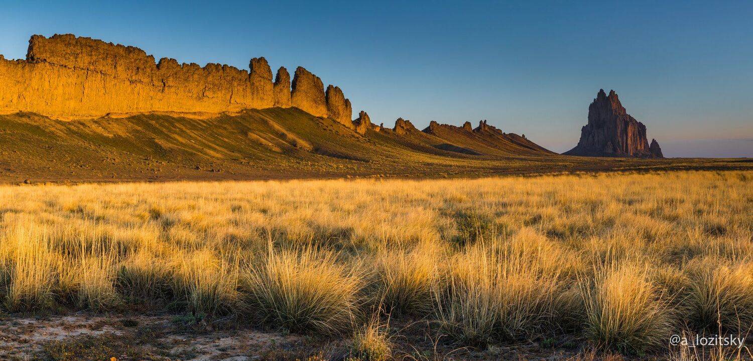 , Александр Лозицкий