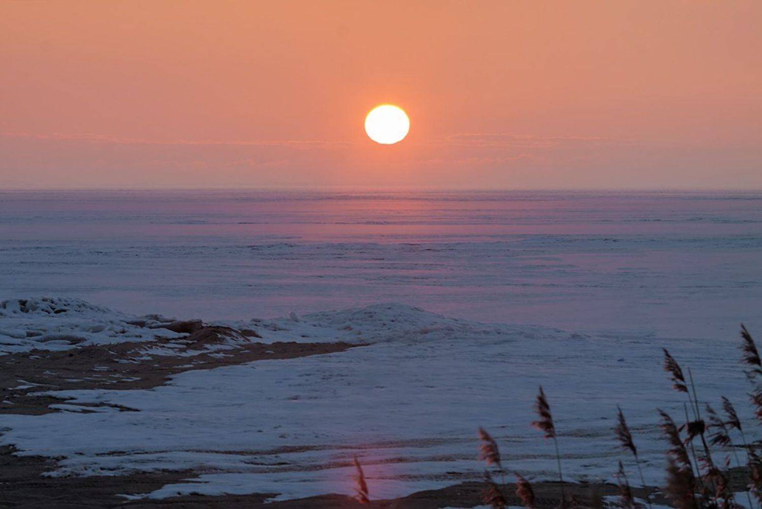 , Геннадий Новов